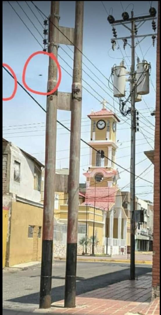 Ji_Predicciones's tweet photo. #Ovnis Imágenes captadas el 01/05/2020 entre las 4:30 pm y 5:00 pm en el centro de Punto Fijo, en la Plaza José Leonardo Chirino, conocida como Plaza del Obrero, en el estado Falcón, Venezuela. Vía @andrescambero8 https://t.co/83ebXdodX8