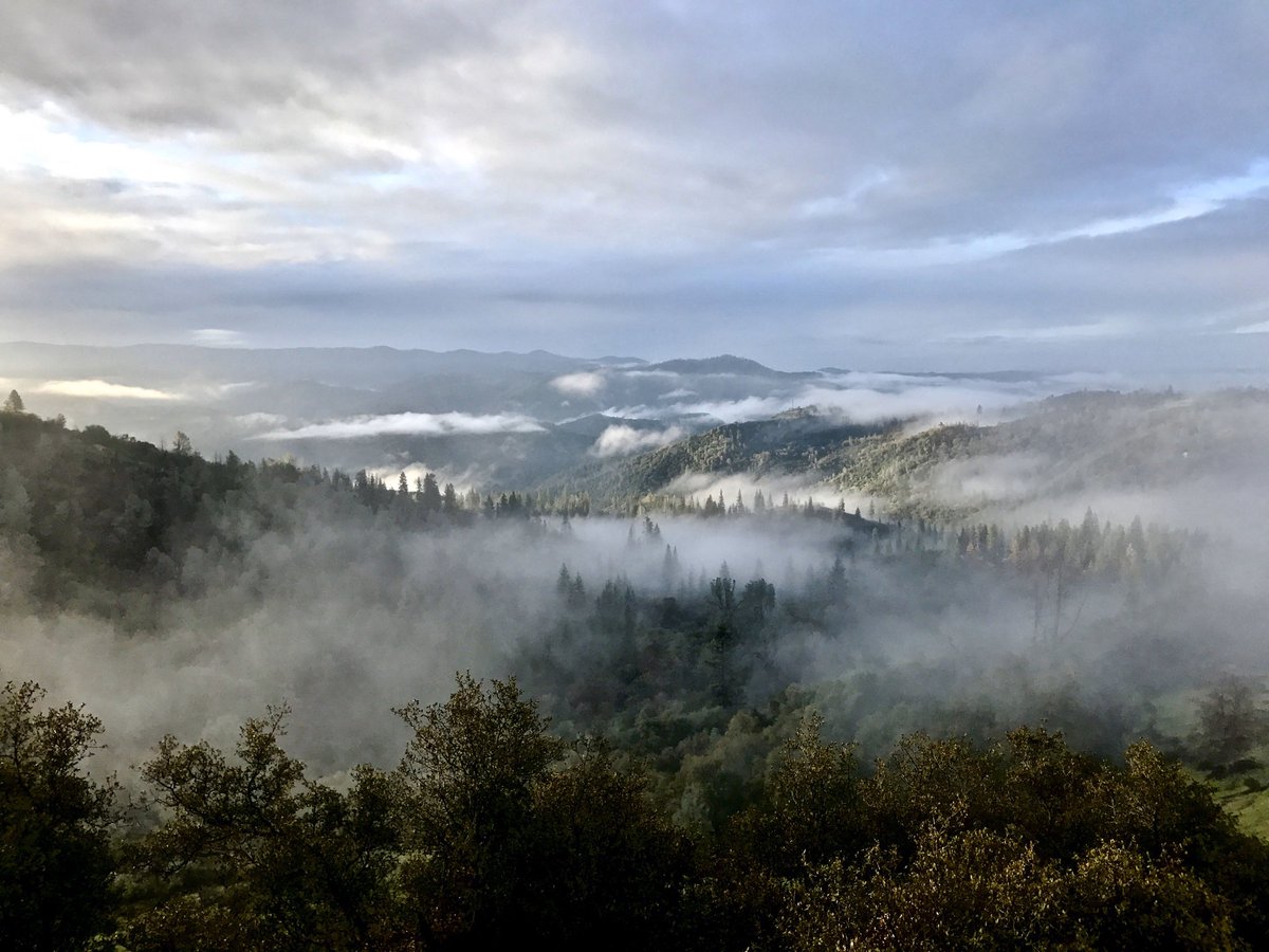 Jade Pennig tweet media