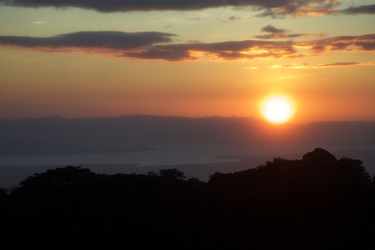 Jade Pennig tweet media