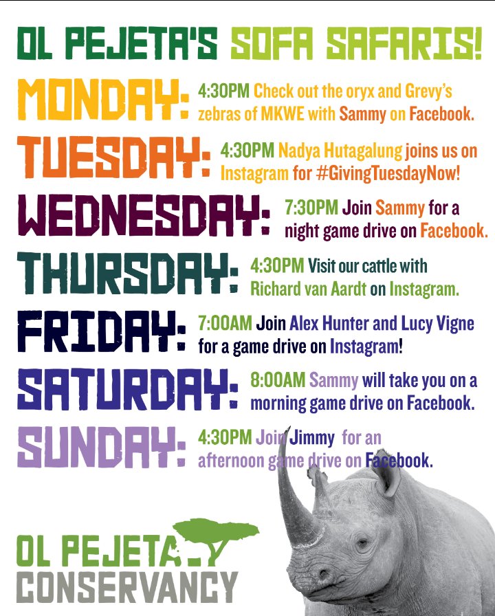 OlPejeta's tweet photo. Here's the #SofaSafari schedule for the week of May 4th. 
We will try to stick to our plan, but sometimes we are interrupted by a huge rainstorm or an elephant that needs to be rescued!
Be on the lookout for these updates on our stories.
Join us this week, it's going to be fun! https://t.co/KP1VgoxkOC