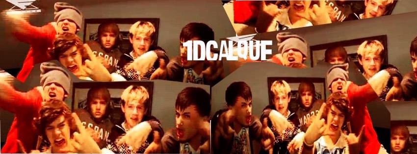 os melhores memes da 1dcalque - a thread