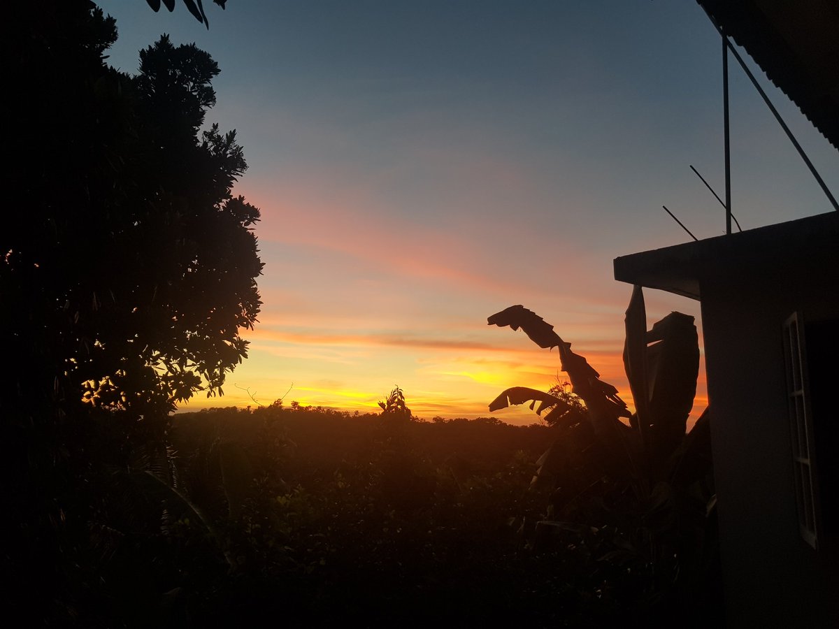 NakisUltimate's tweet image. Let me just bless the tl with a few scenes from Jamaica 🇯🇲 are we catching this flight next year or what?