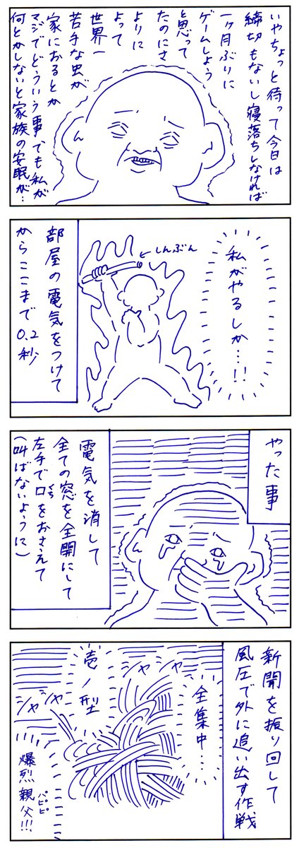 前回のカメちゃん 
