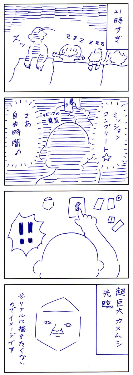 前回のカメちゃん 