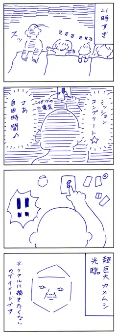 前回のカメちゃん 