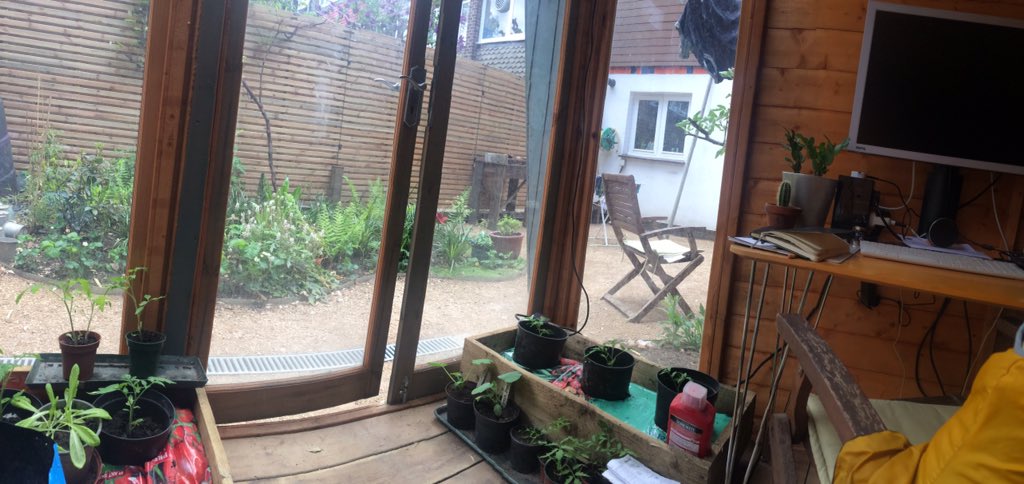 Harry Badham tweet media