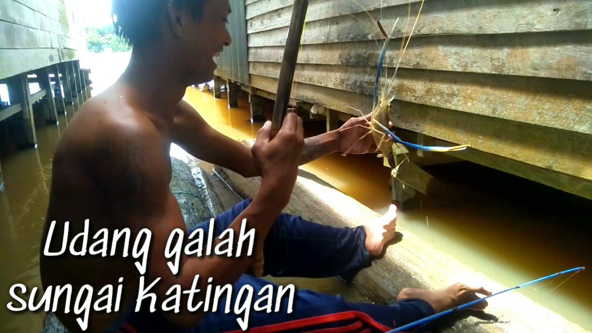 Angler_Katingan tweet picture