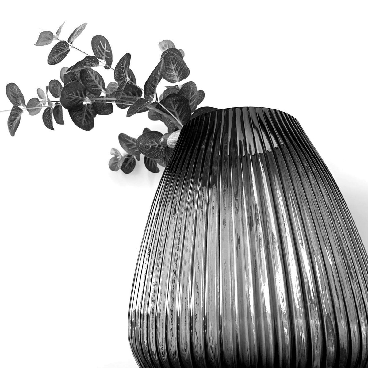 Check out our 'Prep photo of the week! Our Y8's have been learning about the famous photographer Edward Weston, and have created their own artwork just by using their smart phones and a bedside light. Well done Poyraz!