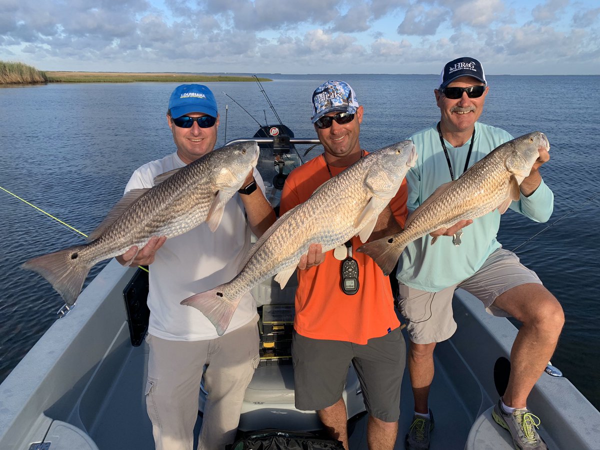 LOATV Show tweet media