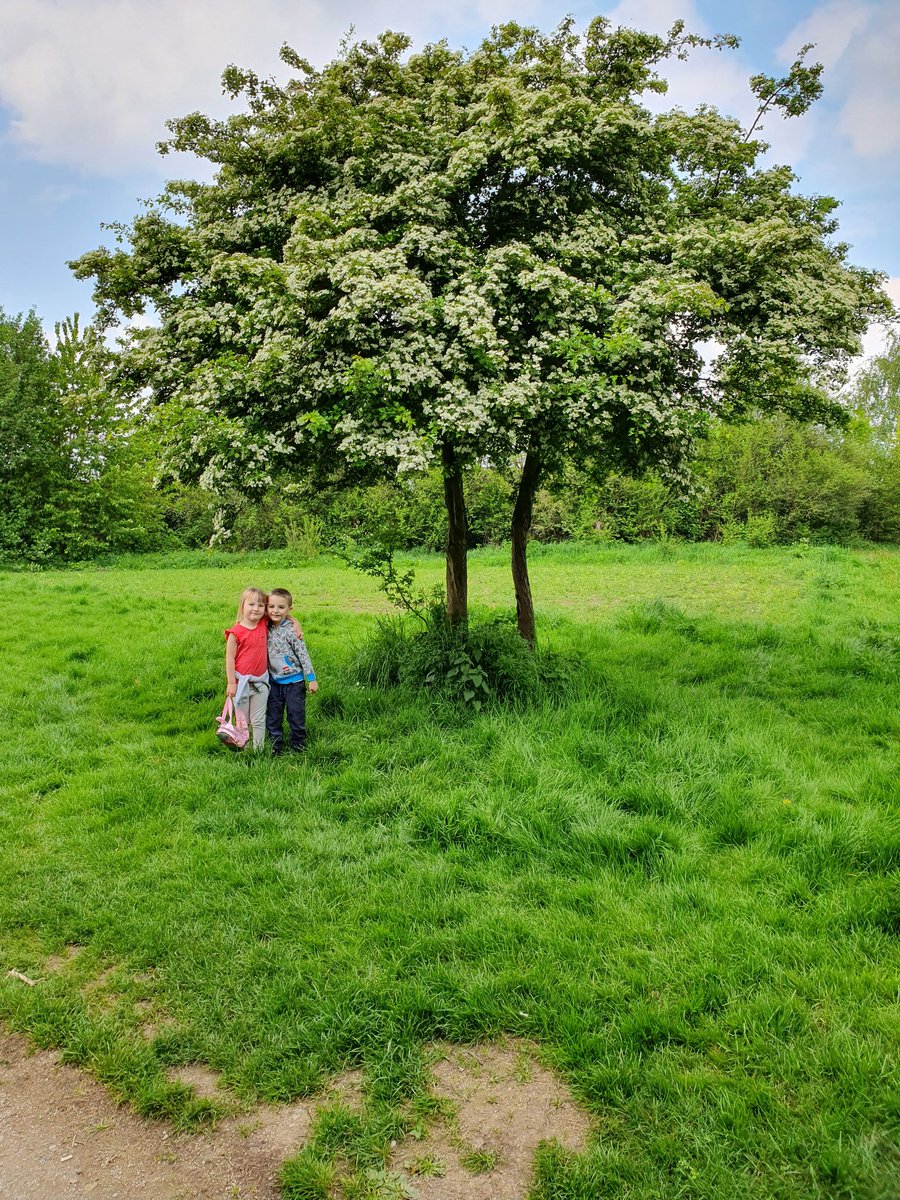 Rachel Mather tweet media