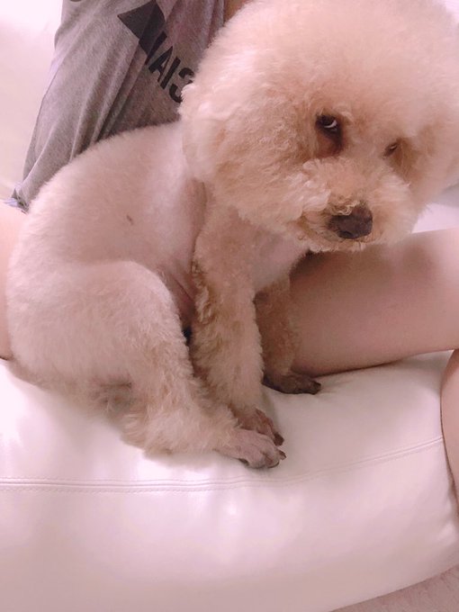 イチャイチャしてるの撮るなよ的な目つきw https://t.co/w6aDGX5OMM<a href="/tag/nintendoswitch"class="tags"><span>#nintendoswitch</span></a><a href="/tag/fortnite"class="tags"><span>#fortnite</span></a>