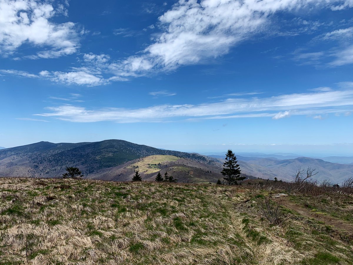 Oh, hello gorgeous ⛰😍. 

#AppalachianHighlands #RoanMountain