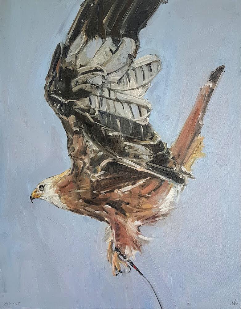 Kaye_Maahs's tweet photo. Currently in #lockdown #in #kilbaha #Eiru #red #kite #hawk #painting #bird #burrenbirdsofprey #west #clarearts #kunst #loophead #lighthouse #wildatlanticway #stayhome #staysafe ππ https://t.co/7k16TFXv0t https://t.co/eUwjJ8NeK9