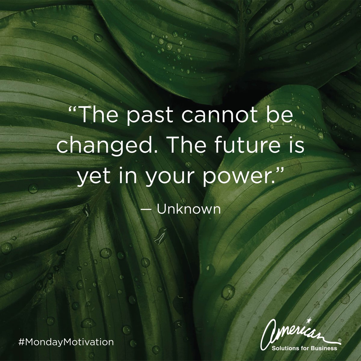 American Solutions tweet media