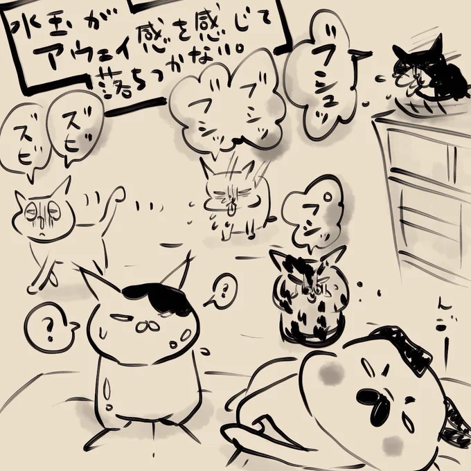 風邪っぴきだらけの中、お茶目はともかく元気もりもりの水玉スゴイな! 