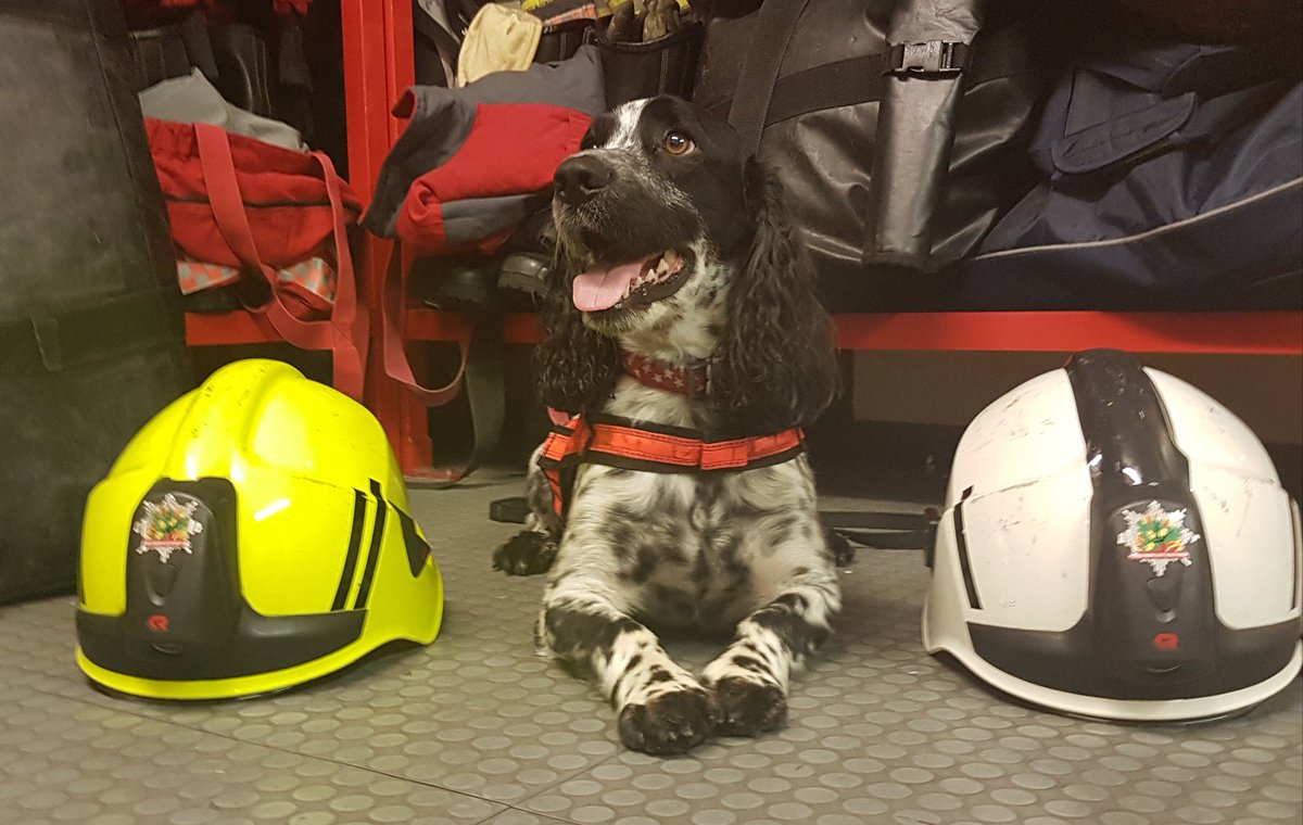 Amongst all the chaos around at the moment. Today at midday we paused to remember all those firefighters who didn't return to station #firefightermemorialday