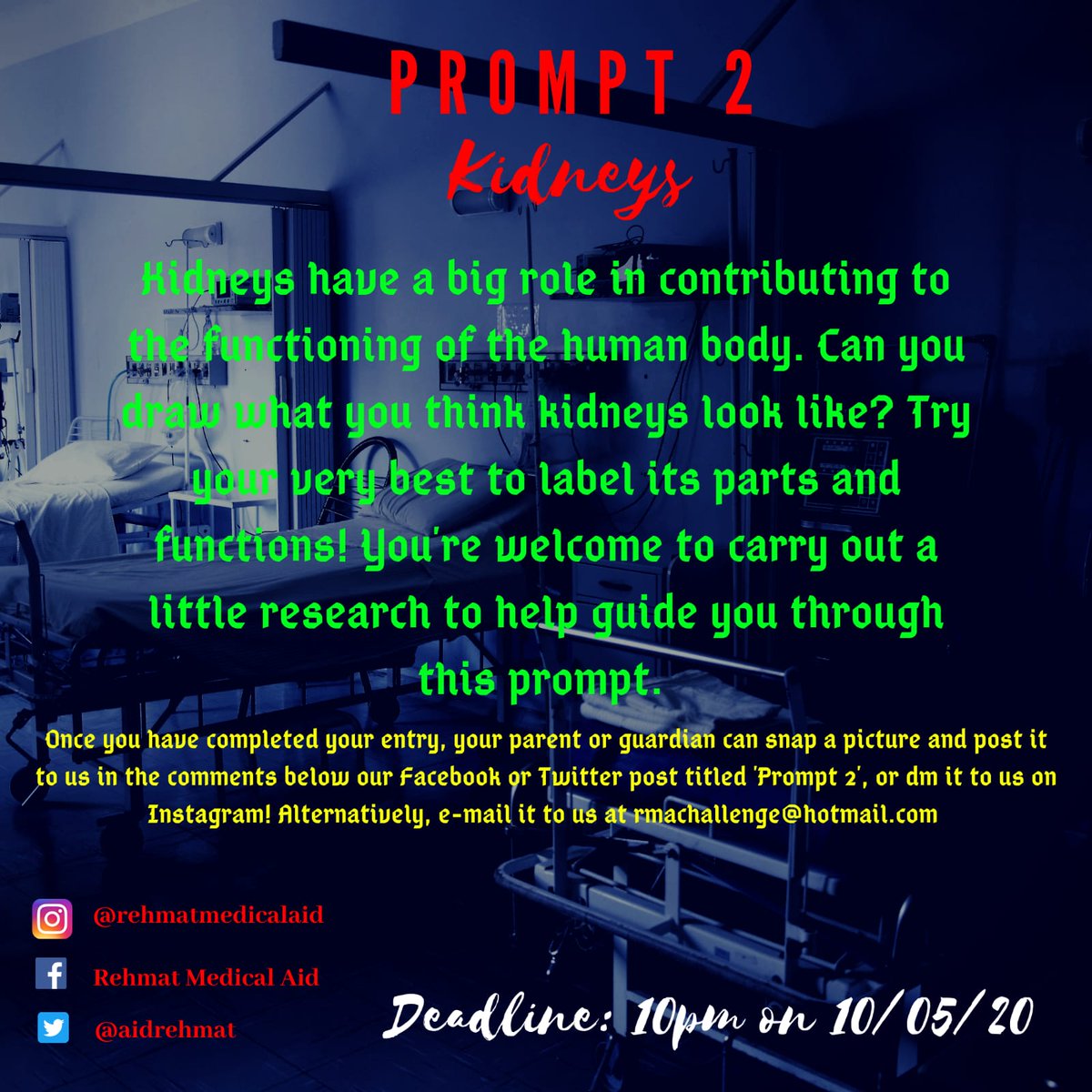 AidRehmat's tweet image. Week 2 and time to take on Challenge 2!

Kidney care is close to the hearts of all of us at Rehmat Medical Aid so Challenge 2 is all about kidneys!

Get the colouring pencils and science books out, we want to see your drawings of kidneys and their functions!

More details below: