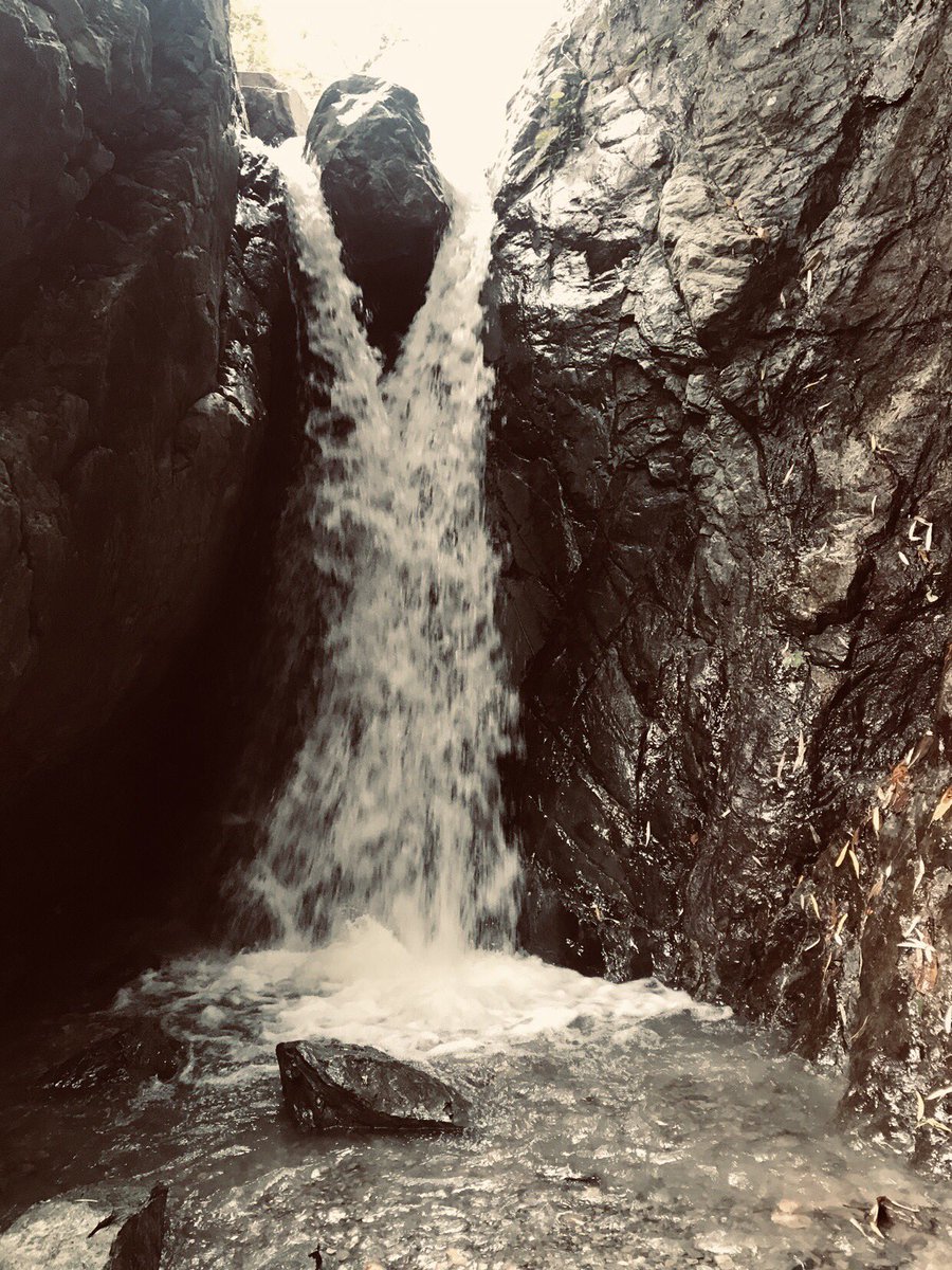 swamisubaschdr's tweet photo. Today : Hiking 🥾: Dharan - Shiva jatta !!!
It feels good to be lost in right direction and 
The purpose of our lives is to be happy.
Naman 💜🍀🙏🦋
#SWAMISUBASHCHANDRA #Hike2020 https://t.co/I9tmMJJhRc
