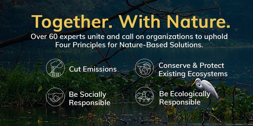 ArcticBasecamp's tweet photo. READ THIS: One Statement.
Four Principles for Nature Based Solutions. 60+ leaders in science, conservation, restoration, development and sustainability. Read the statement here: https://t.co/yfpon8x9pI
#TogetherWithNature #NatureBasedSolutions #4Principles4NBS https://t.co/6lZG4QtQQf