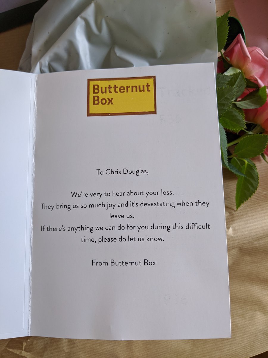 PilatesDevizes's tweet image. Sadly said goodbye to my beautiful gentle girl, Lotttie, on Friday.  Lovely but emotional surprise today from @ButternutBox so caring!