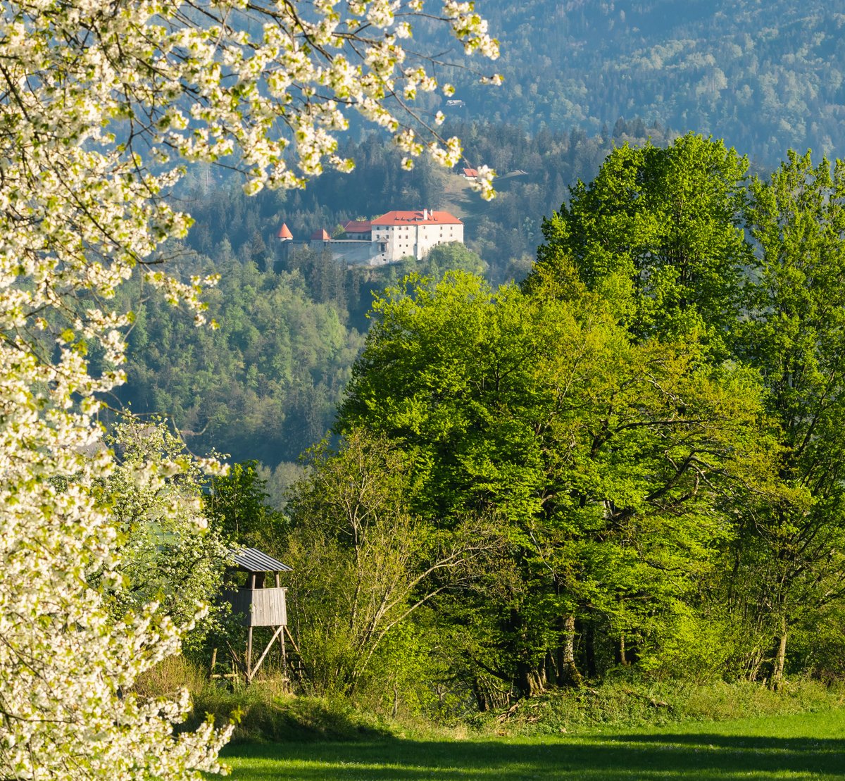 Bled Castle tweet media