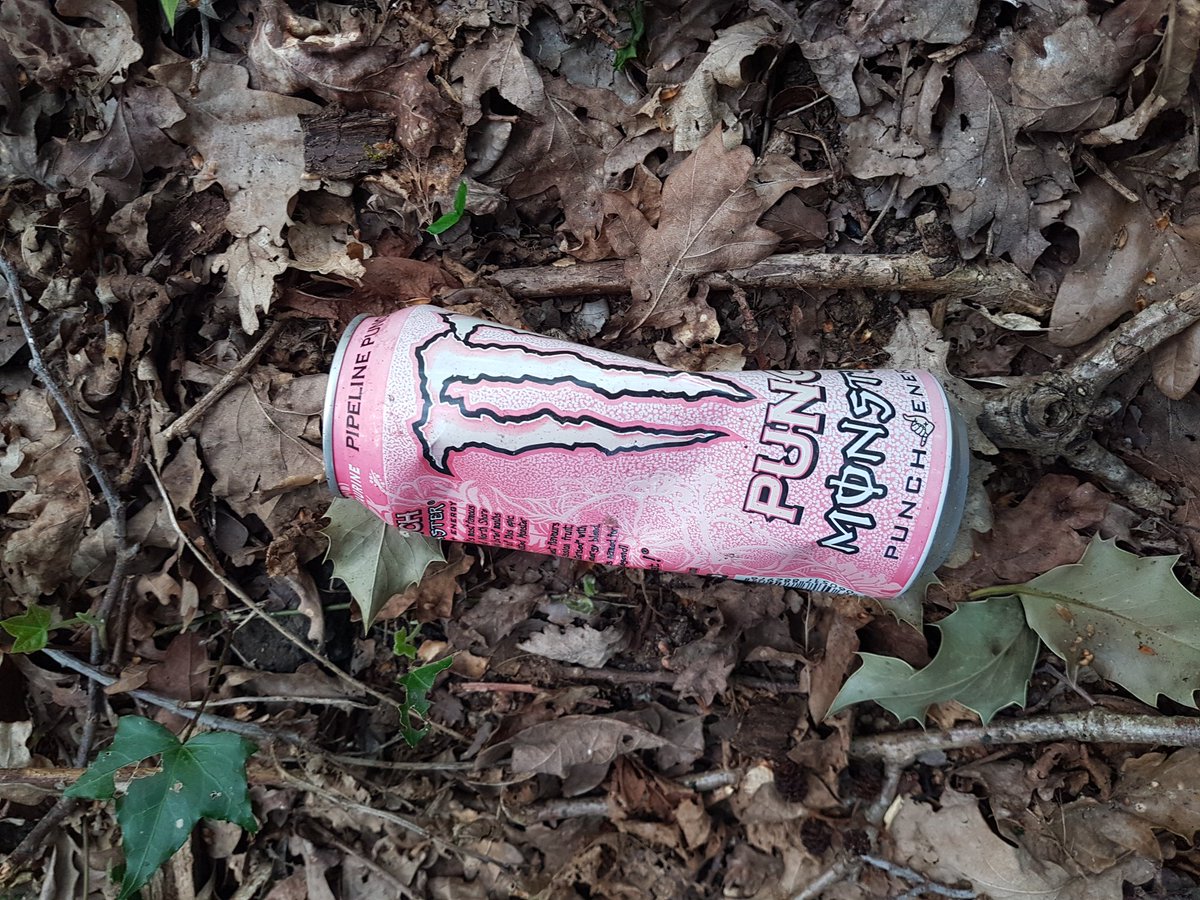 @MonsterEnergy I've found some of your cans polluting my local countryside. It would be great to hear how you are/are going to combat this issue of pollution? @sascampaigns #ReturnToOffender #DigitalBeachClean