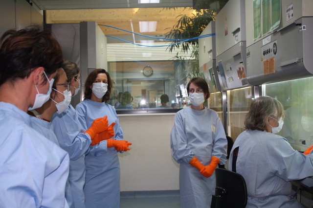 In just 3 weeks time we set up an entire COVID-19 testing infrastructure! 8 Ghent-based VIB teams of volunteers test patient samples to determine if they are infected with SARS-CoV-2. Effort launched after the call of federal minister <a href="/debackerphil/">Philippe De Backer</a> bit.ly/vibcovidtesting