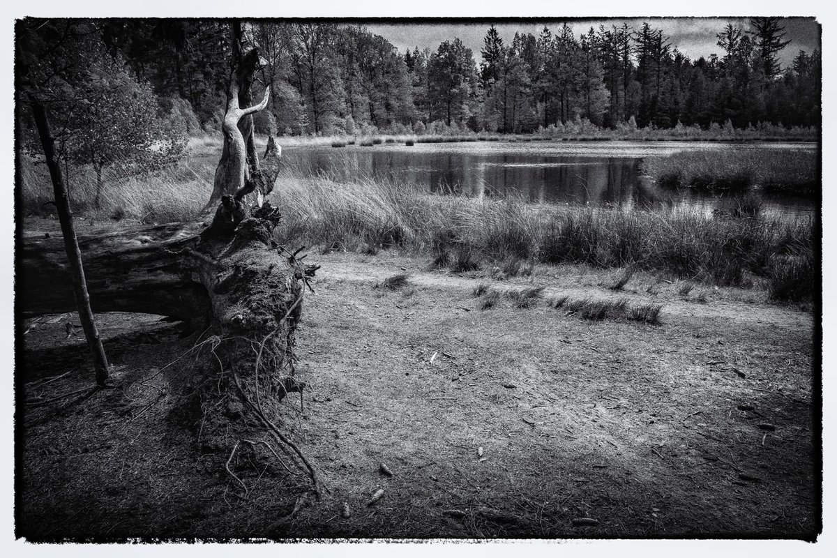 bertbielderman's tweet image. Corona walk #photography #photooftheday #Sony #fotografie #FotoHot