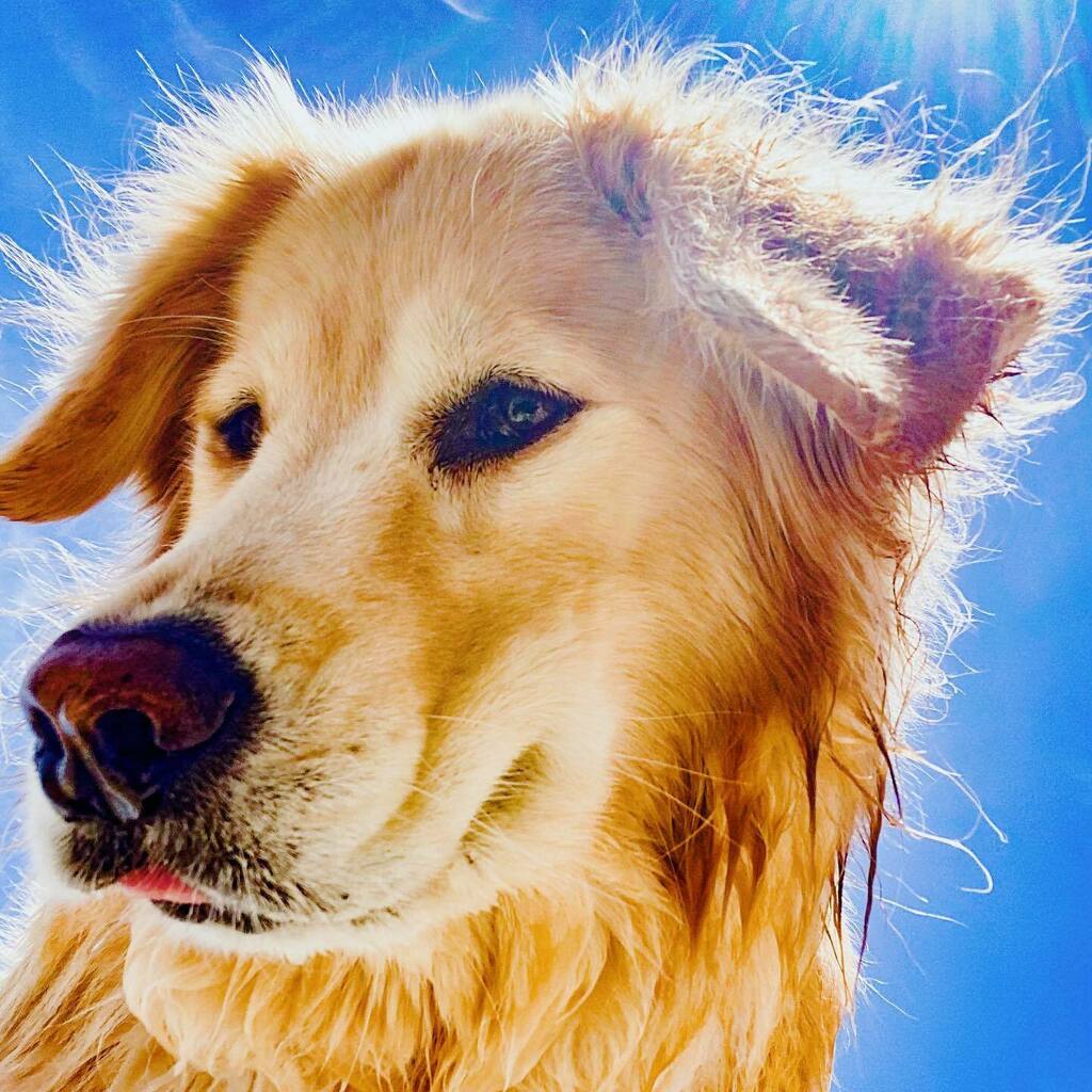 TheGoldenRatio4's tweet photo. Yes hello! Welcome to heaven! I am Vink! https://t.co/QXWbhRiIOC