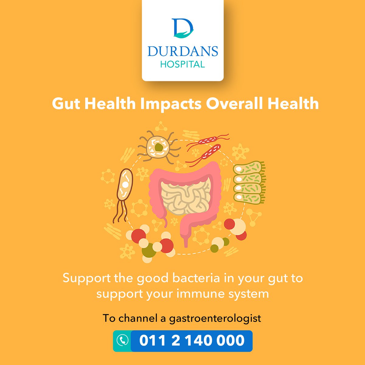 DurdansHospital's tweet photo. The complex community of bacteria in your gut plays a crucial role in your immune system and is even thought to impact your brain chemistry and emotions. Eat a healthy and varied diet to keep it in balance. Learn more at https://t.co/0p3bAu2eDx #DurdansHospital #GutHealth https://t.co/qNvNbl5DHF