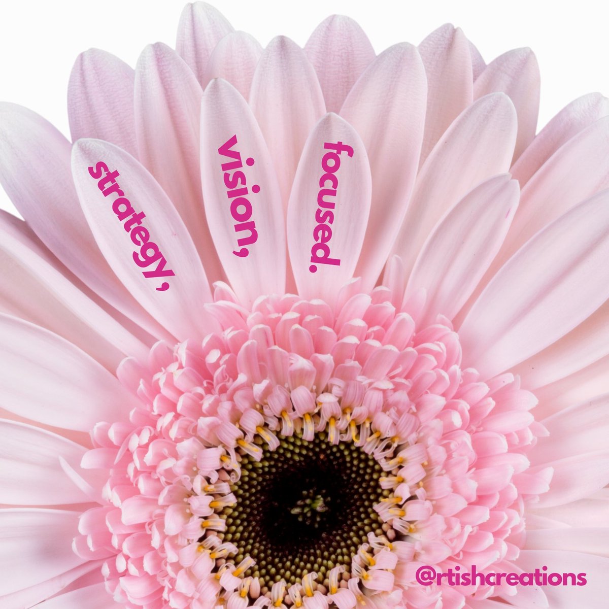 Letitia Owens tweet media