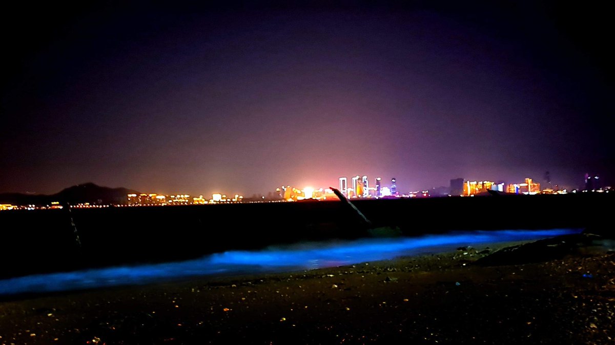 cpZTZbNLrl5vJLf's tweet photo. #金門 #Kinmen
#藍眼淚 #BlueTear #seasparkle #bluesand
昨晚跟友人一起去拍攝
試了很多方式才把他拍攝出來 https://t.co/pjVNXxcb6e