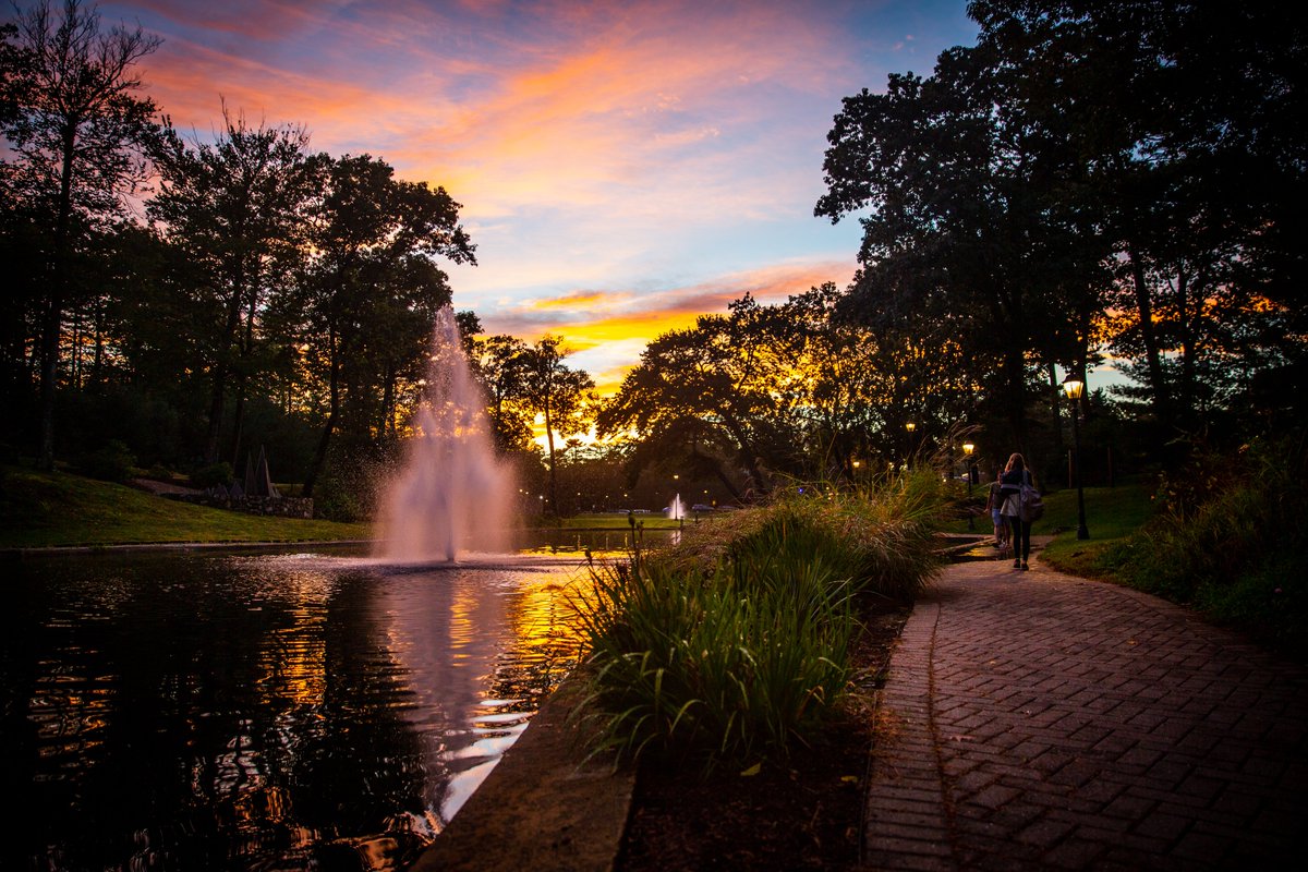 Endicott Athletics tweet media