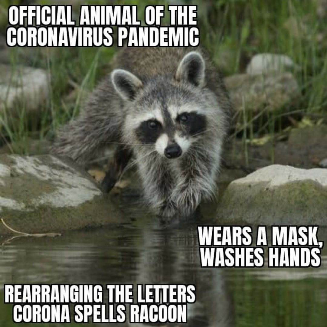 Sensor Health tweet media