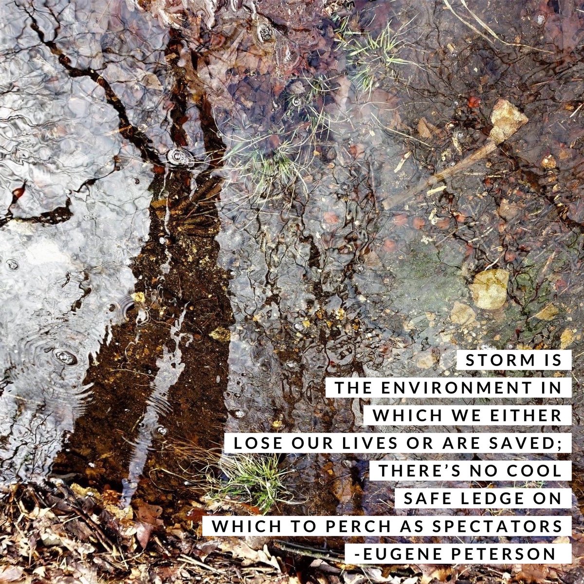 #covid19 #lockdown #quarantine #isolation #corona