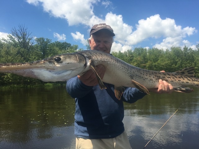 Jamie Pistilli / tweet media