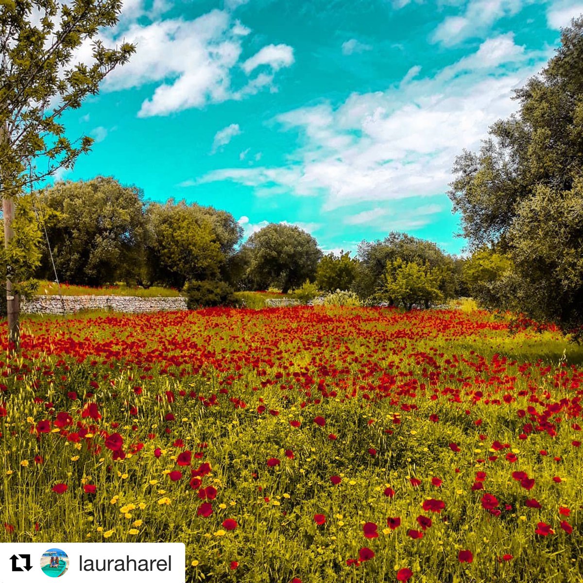 #landscape #Italia #Puglia #visit #Monopoli #travelawesome #travelagency