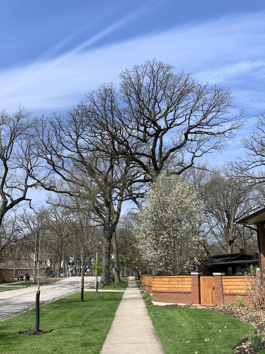 The Care for Life Project tweet media