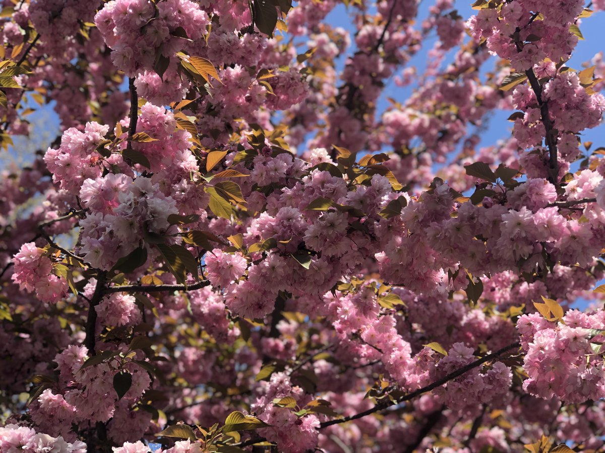 The Care for Life Project tweet media