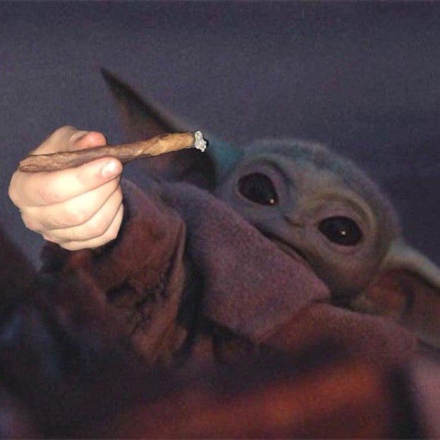cuzimgeo's tweet photo. May the 4th be with you https://t.co/rsnV1PHo81
