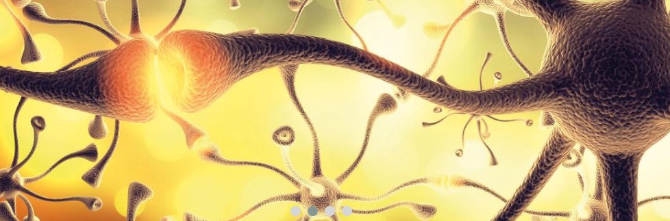 touchNEUROLOGY's tweet photo. THE CHALLENGES OF DIAGNOSIS IN ALZHEIMER’S DISEASE; Authors: Nenad Bogdanovic; US Neurology. 2018;14(1):15–16; Full free-to-access article available here: https://t.co/iPnnF5NKYa

#neuropathologic #brain #AlzheimersDisease https://t.co/t0sM3Z2uWi