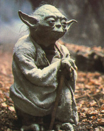 XENONexperiment's tweet photo. "In a dark place we find [dark matter], and a little more knowledge lights our way." Yoda's quote revised.
#XENONnT #DarkMatter 
#MayTheFourthBeWithYou https://t.co/ylf98aqnfW