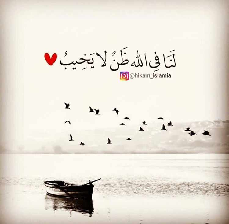 أبو غلا خروج من القروبات مؤقت 🙏 tweet media