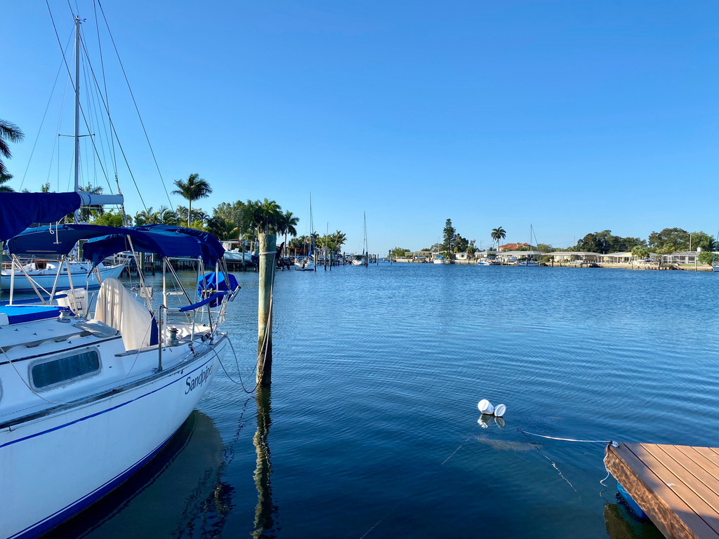 inviteadventure's tweet photo. This is what it looks like when you live in @VISITFLORIDA ☀️&amp; your friend asks you to come over for #morningcoffee on the deck!☕

#florida #visitflorida #stpete #tampabay #mondayvibes #bayview #friendtime #outdoors #livingonthewater #waterview #waterfrontliving #happyplace https://t.co/4LK34h0avT
