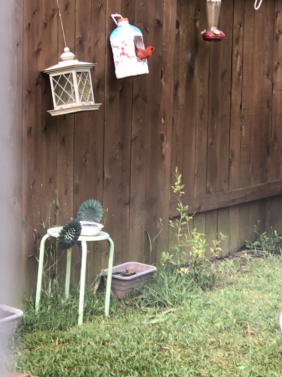 emv884's tweet photo. Jas wanted to show that her “save the earth project” is working! She is very proud @MrsPotter_RPE @MsWalker_RPE @HumbleISD_RPE https://t.co/ntn4y5UJti