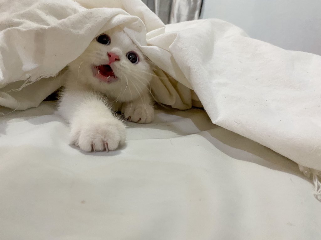 มนุดๆ หนุมีเรื่องผีจาเล่าให้ฟัง ผีในห้องบอกว่า! โตจึ้นหนูจะมีหูอันบาเยิ่มม