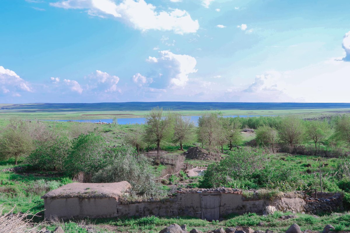 AzadiRojava's tweet image. The serenity of Rojava in spring, beautifully captured by photographer Orhan Qereman near Dêrik's Carûdiyê village