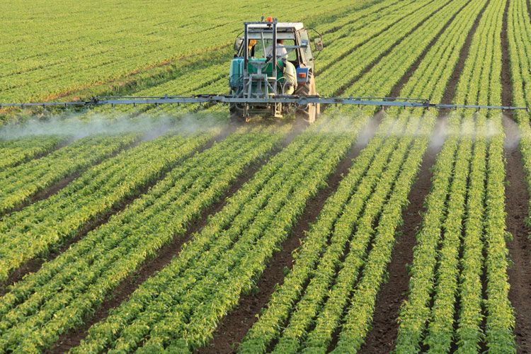 CIFCampaign's tweet photo. Today is the beginning of Air Quality Awareness Week... Did you know that elemental #sulfur is considered organic? When it comes to #pesticides and #airpollution, our first question should always be, "Will #farmworkerchildren be able to breathe?" 🌬💨
https://t.co/VwOHNkns3r https://t.co/Cjr39cHEOL