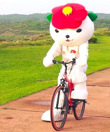 Tsubakineko, a bicycle-riding white cat with a camellia on its
