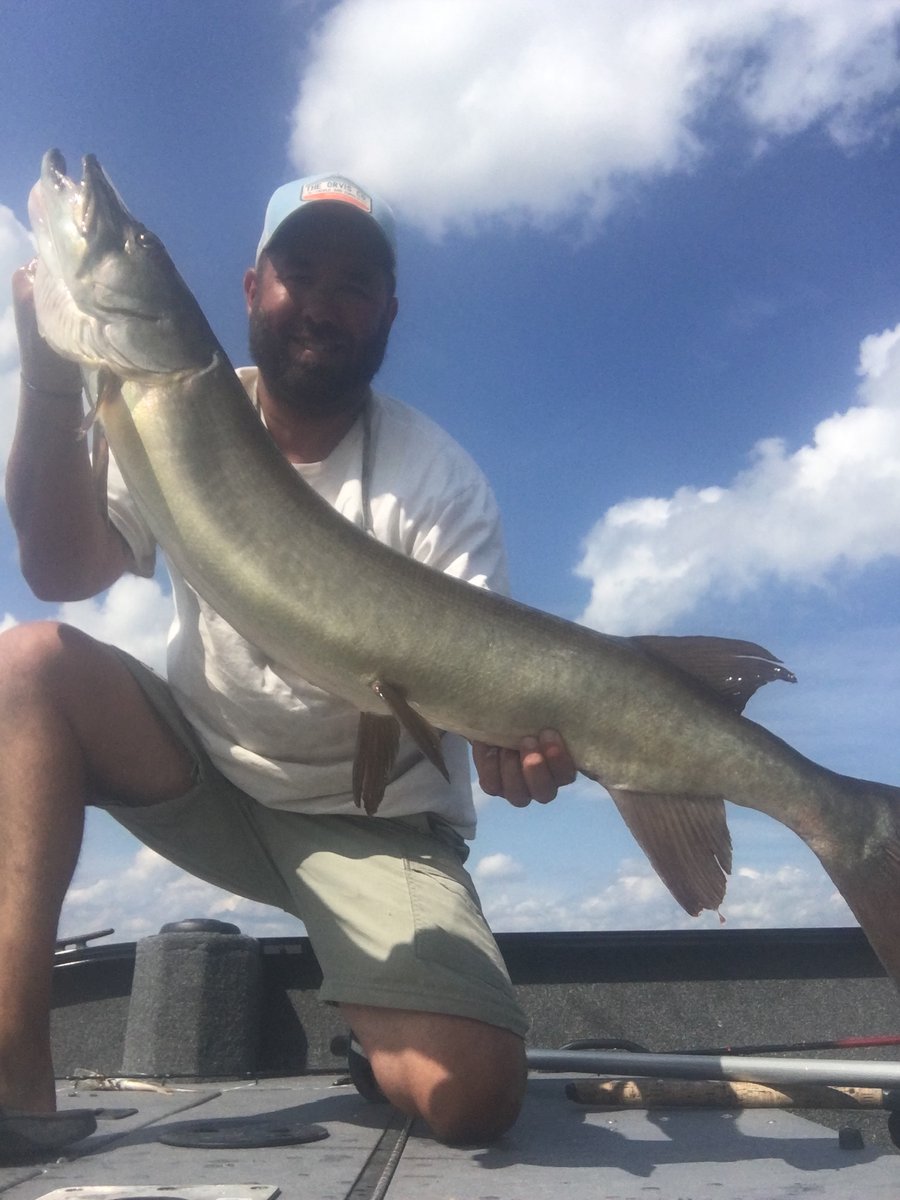 Rising Sun Fishing tweet media